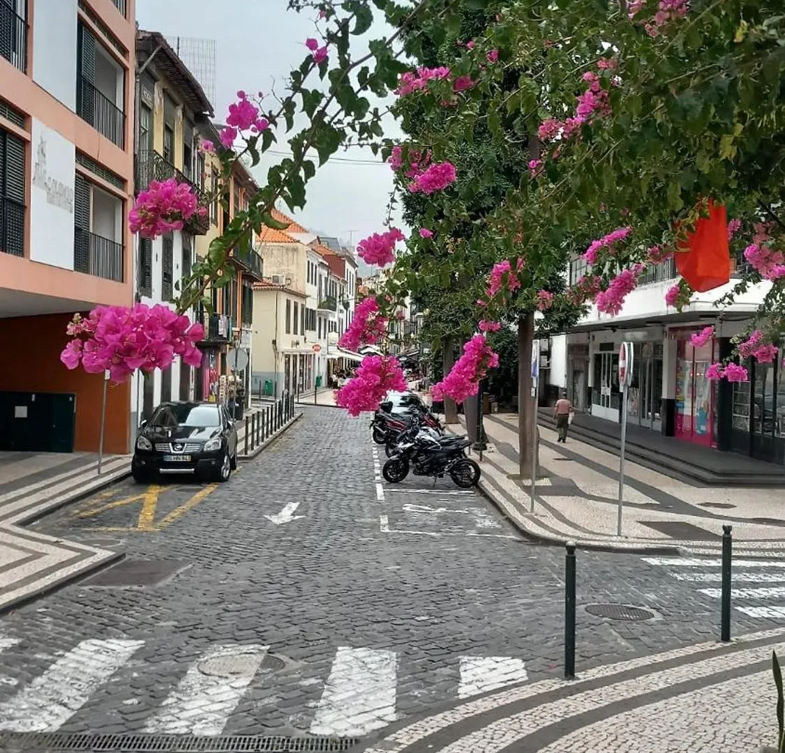 Appartamento Alojamento Local Trigal Funchal  Portogallo