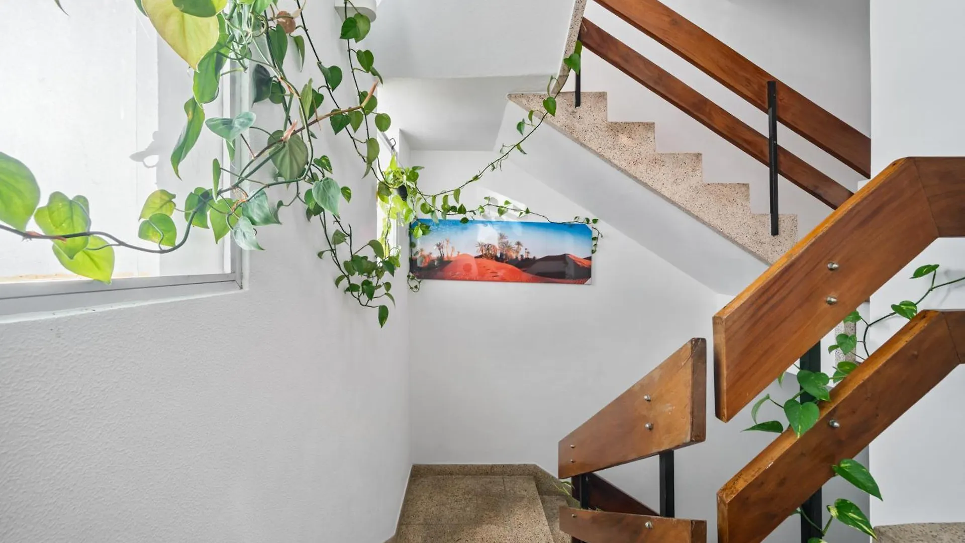 Apartment Alojamento Local Trigal Funchal